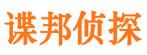 湛河侦探公司